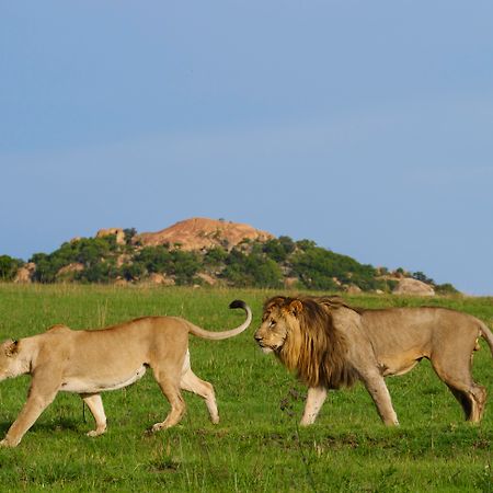 Nkomazi Game Reserve By Newmark Badplaas Exteriör bild