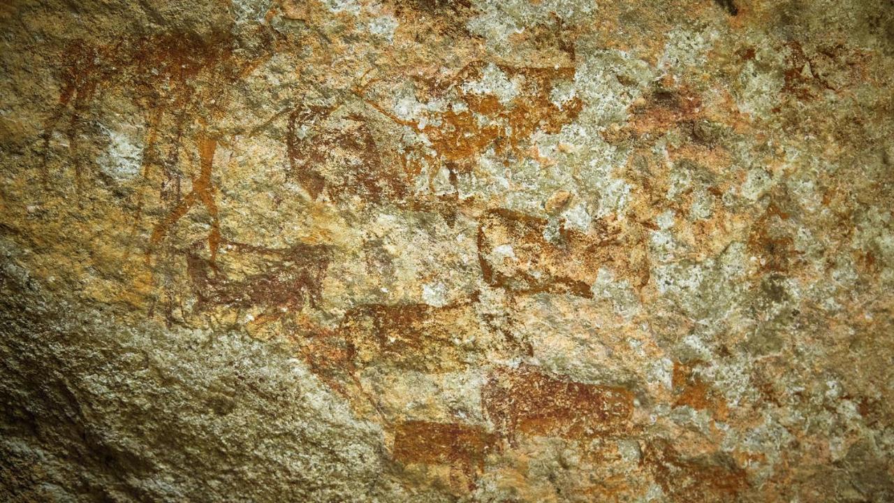 Nkomazi Game Reserve By Newmark Badplaas Exteriör bild