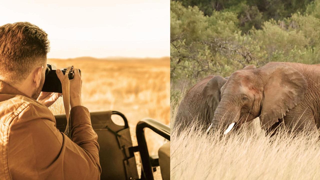 Nkomazi Game Reserve By Newmark Badplaas Exteriör bild