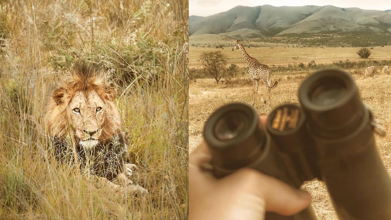 Nkomazi Game Reserve By Newmark Badplaas Exteriör bild