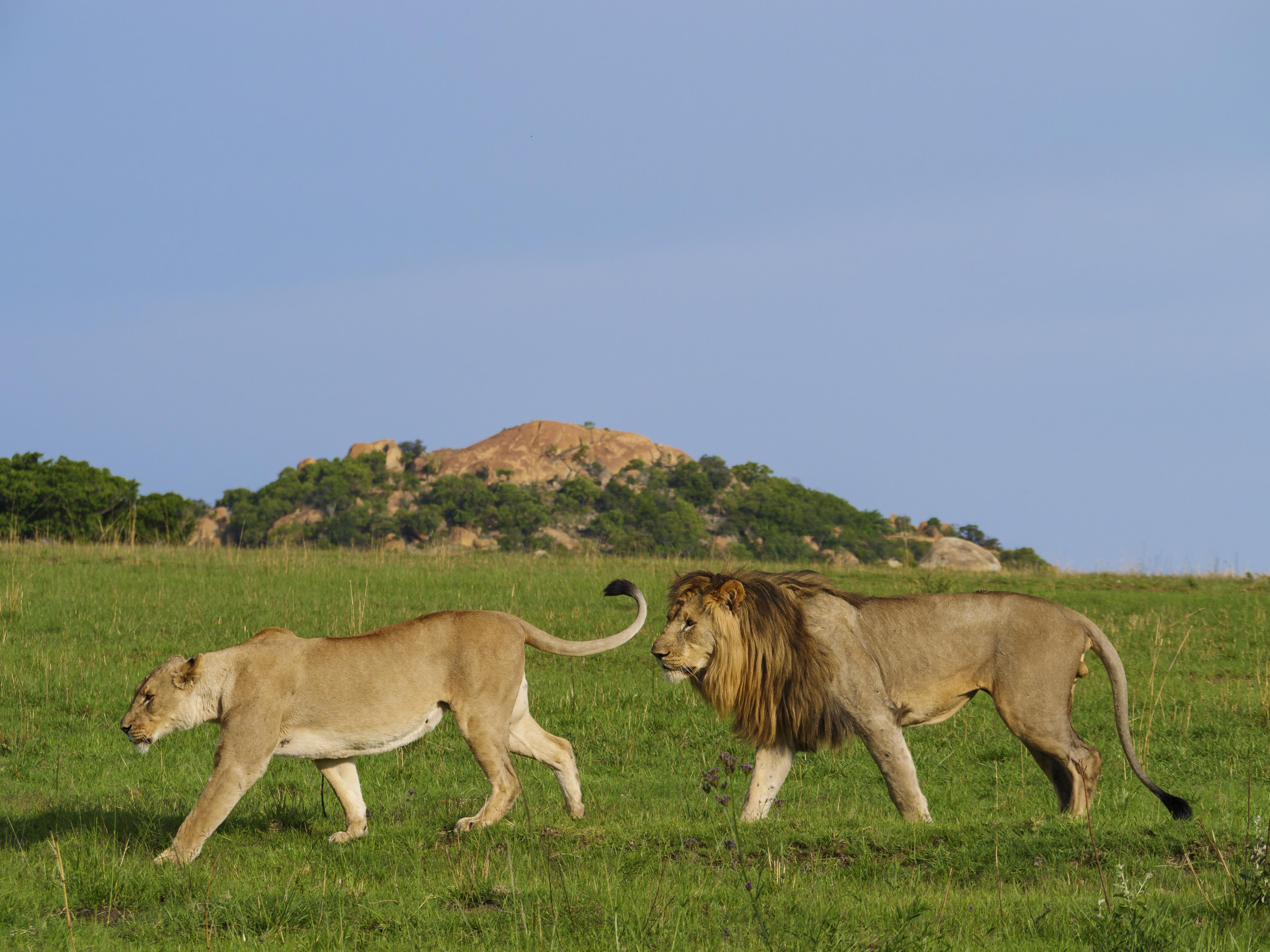 Nkomazi Game Reserve By Newmark Badplaas Exteriör bild