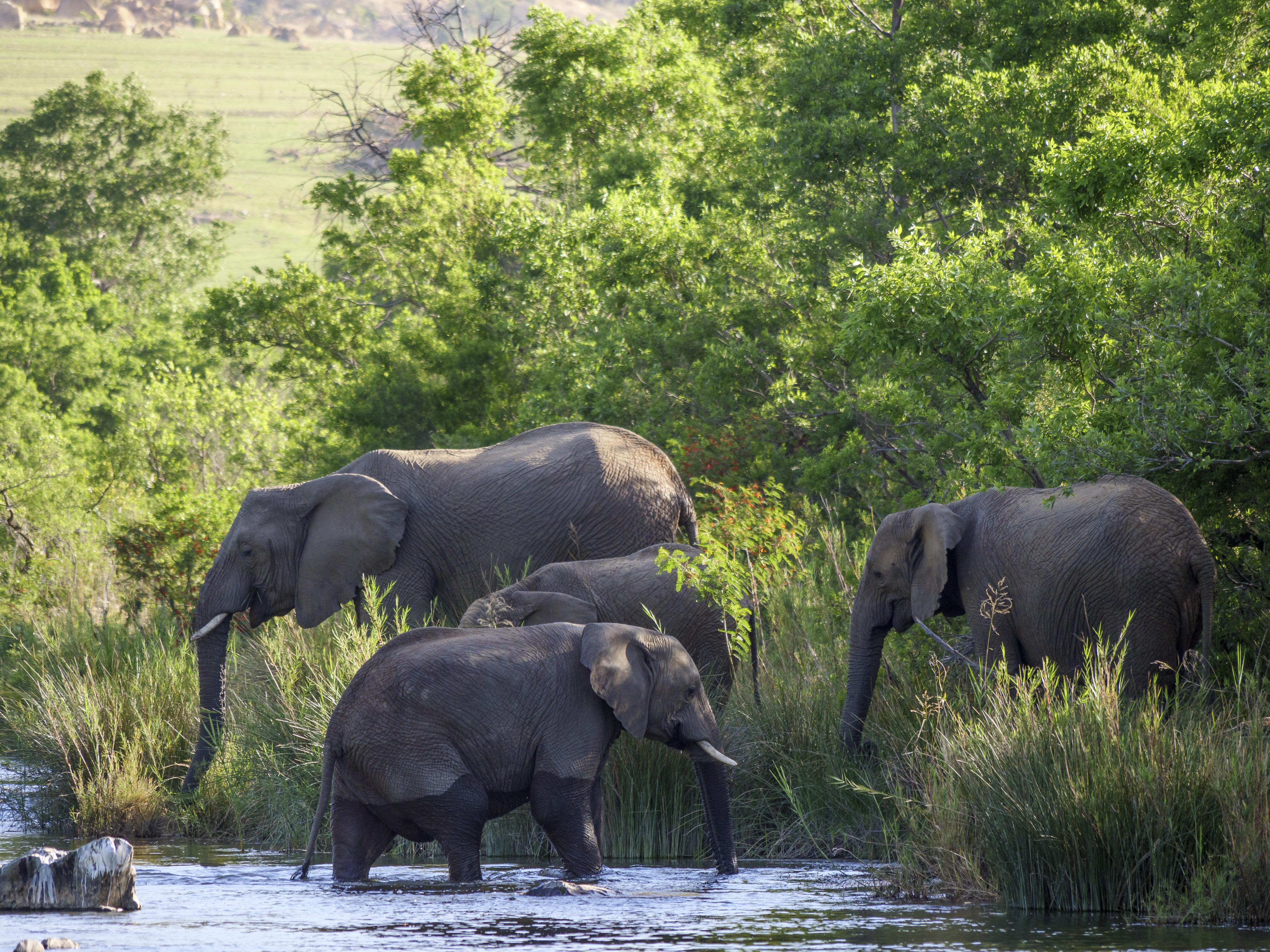 Nkomazi Game Reserve By Newmark Badplaas Exteriör bild